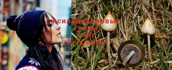 apvp Михайловск